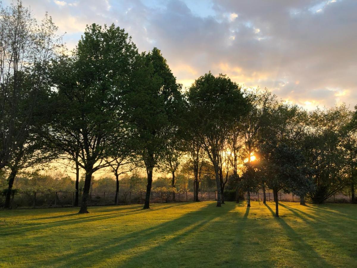 La Bergerie Des Landes Villa Lit-et-Mixe Luaran gambar
