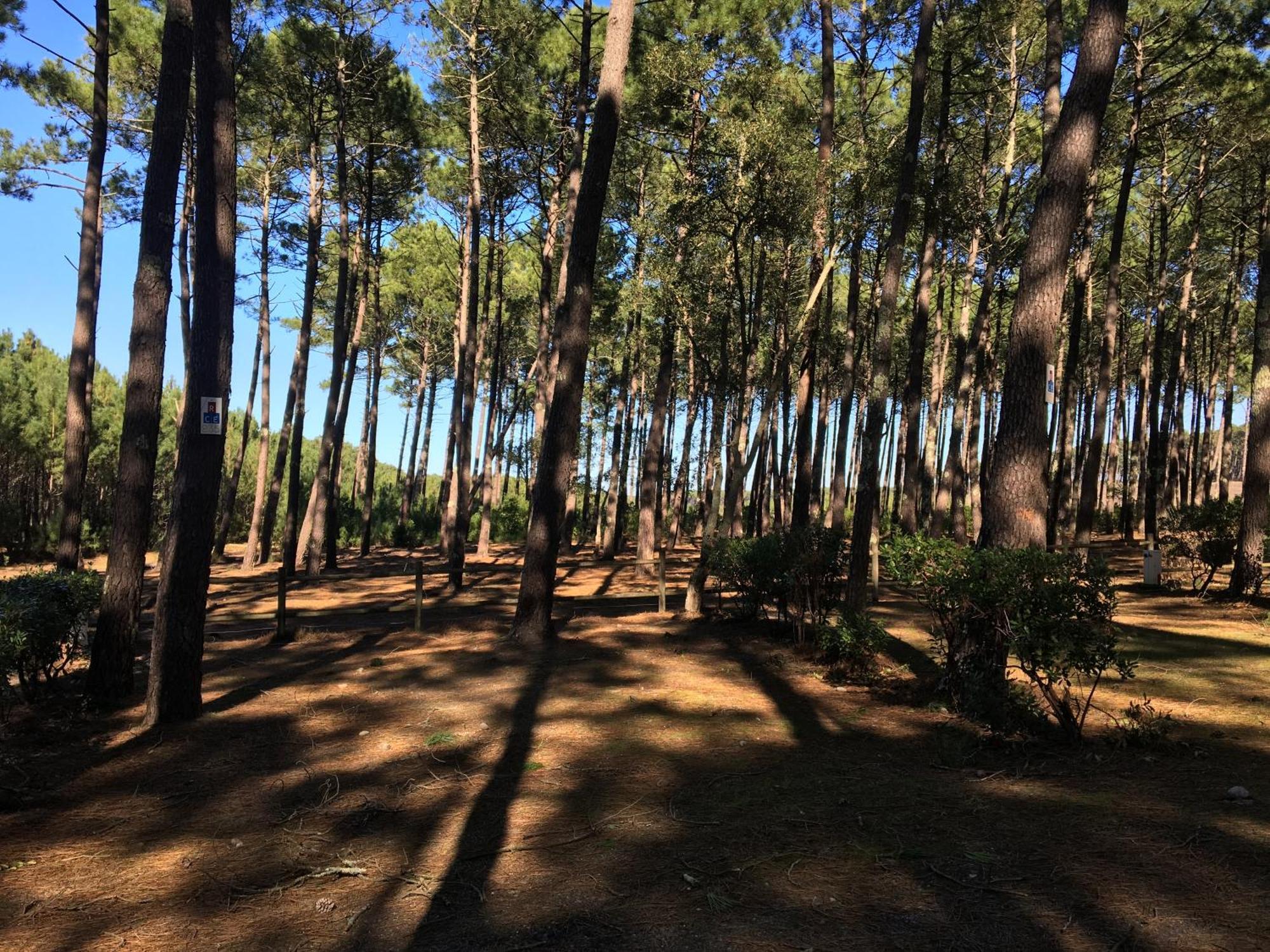 La Bergerie Des Landes Villa Lit-et-Mixe Luaran gambar