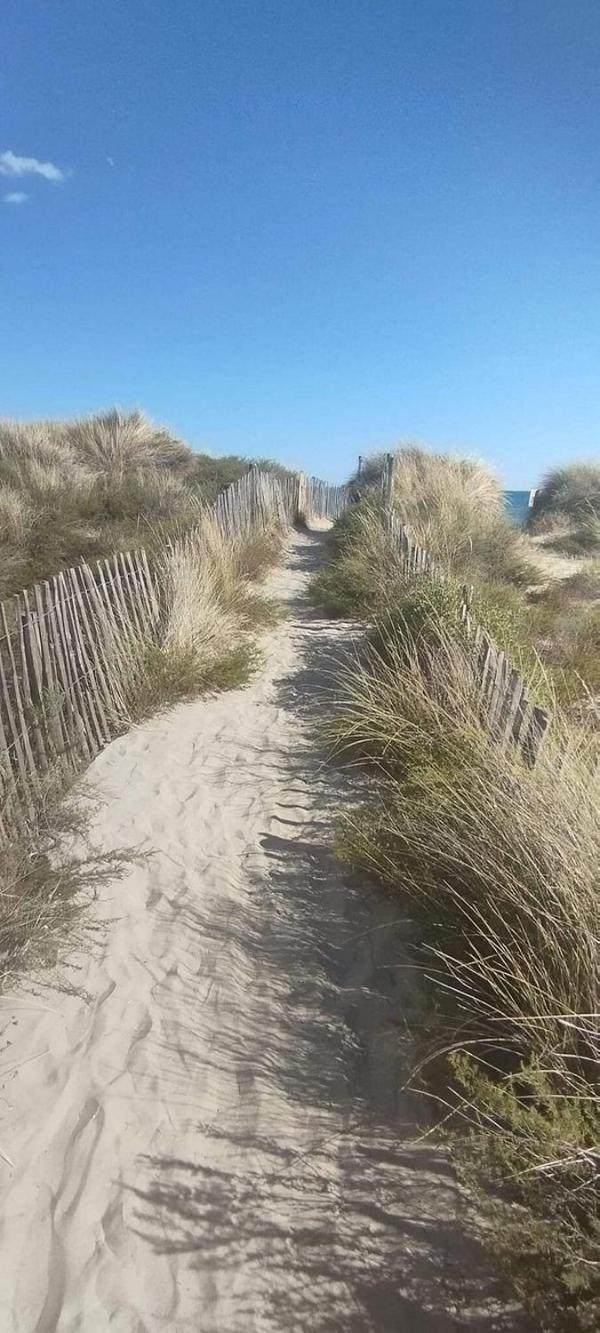 La Bergerie Des Landes Villa Lit-et-Mixe Luaran gambar